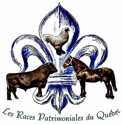 Emblème race patrimoniale du Québec